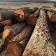 GrunERG - Beech & Pine Logs